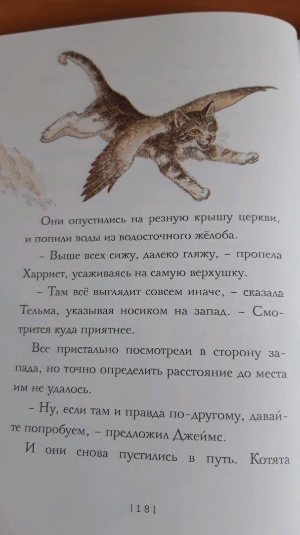Иллюстрация 44 из 59 для Крылатые кошки - Гуин Ле | Лабиринт - книги. Источник: Лабиринт