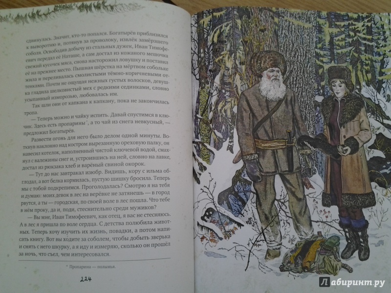 Иллюстрация 62 из 154 для Золотая Ригма - Всеволод Сысоев | Лабиринт - книги. Источник: Olga