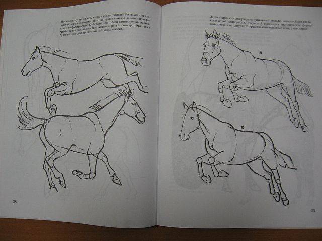 Иллюстрация 5 из 6 для Учитесь рисовать лошадей - Дэвид Браун | Лабиринт - книги. Источник: rizik