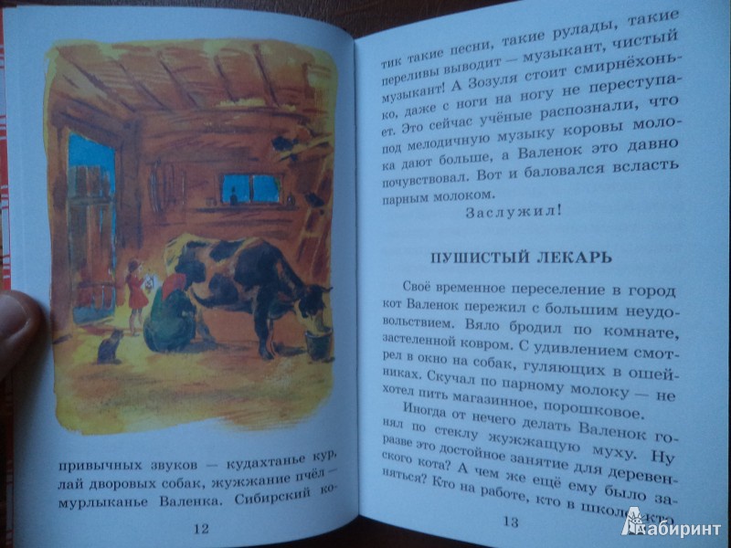 Иллюстрация 8 из 15 для Сибирский валенок - Светлана Вьюгина | Лабиринт - книги. Источник: Karfagen