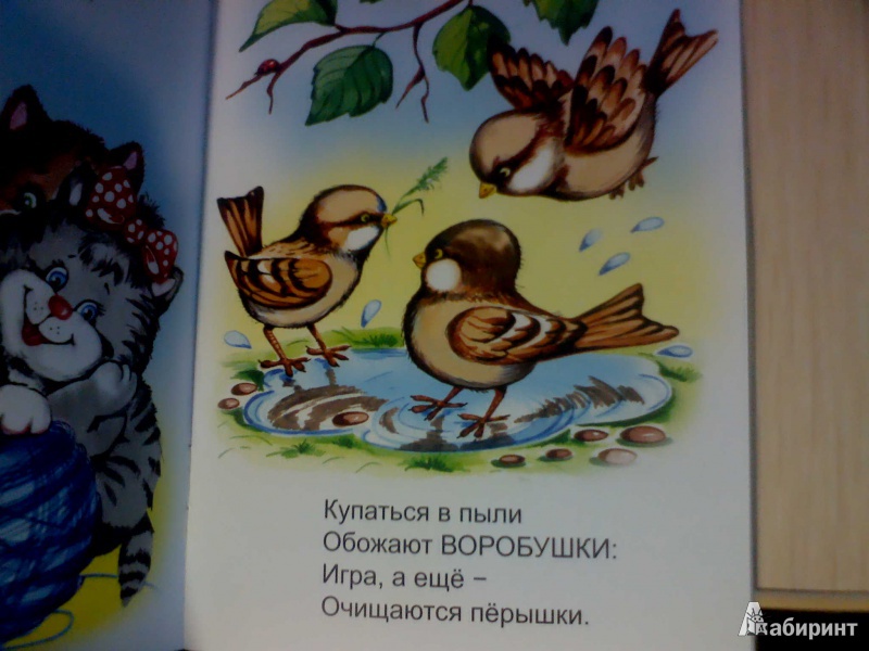Иллюстрация 18 из 31 для Игротека - Владимир Борисов | Лабиринт - книги. Источник: Evgenya Ya