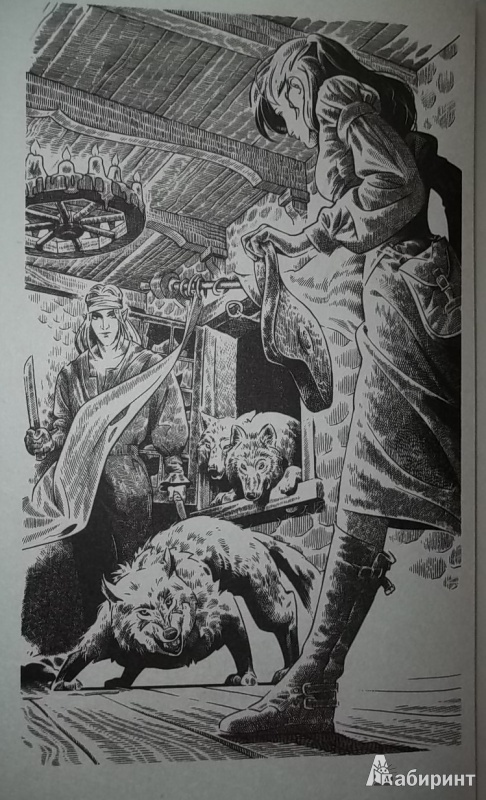 Иллюстрация 2 из 4 для Теща Темного Властелина - Евгения Барбуца | Лабиринт - книги. Источник: Соня-А