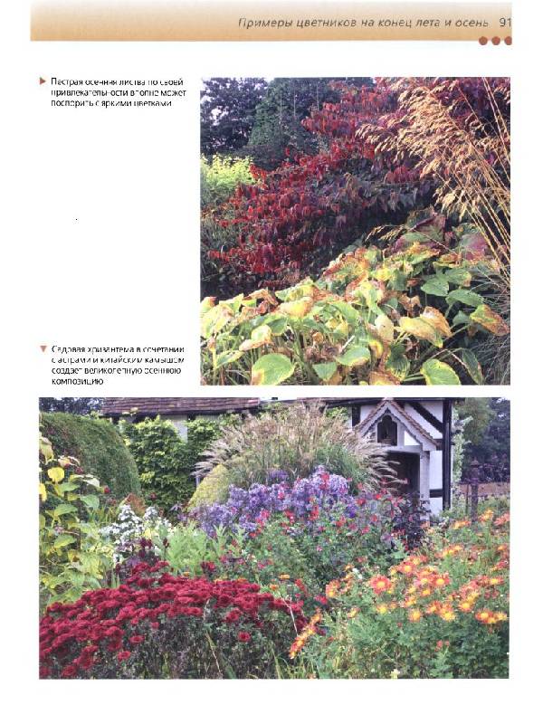 Иллюстрация 16 из 35 для Красивые цветники в вашем саду - Хельга Гроппер | Лабиринт - книги. Источник: Юта