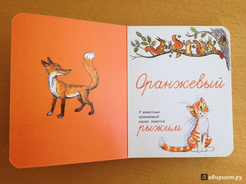 Иллюстрация 6 из 57 для Учим цвета по сказкам и картинкам В. Сутеева | Лабиринт - книги. Источник: Xrjumxrjum