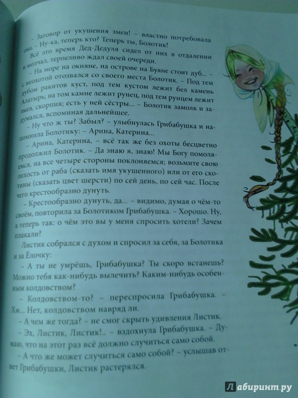 Иллюстрация 11 из 25 для Грибабушка, или Немножко колдовства - Андрей Зинчук | Лабиринт - книги. Источник: Lolo
