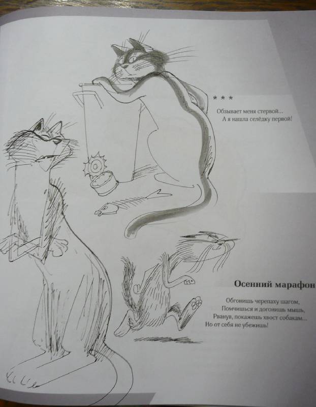 Иллюстрация 16 из 23 для Полное собрание котов - Андрей Усачев | Лабиринт - книги. Источник: book lover