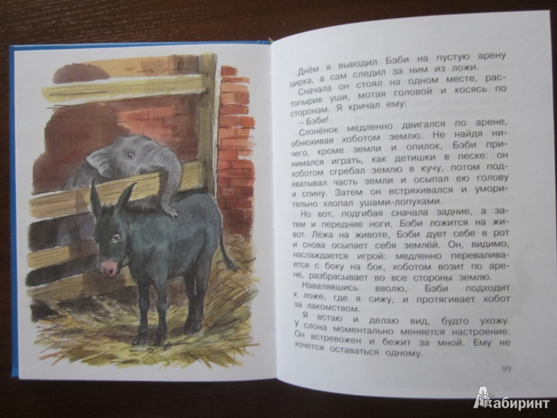 Иллюстрация 32 из 46 для Мои звери. Рассказы - Владимир Дуров | Лабиринт - книги. Источник: ЮлияО