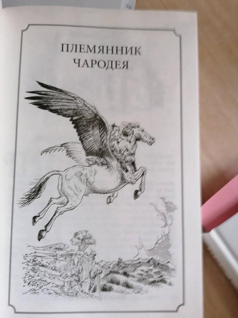 Иллюстрация 106 из 119 для Хроники Нарнии - Клайв Льюис | Лабиринт - книги. Источник: Богомаз Василиса