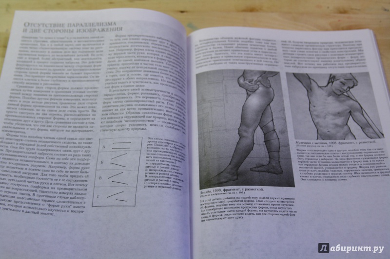 Иллюстрация 30 из 42 для Полное руководство по рисованию фигуры человека - Энтони Райдер | Лабиринт - книги. Источник: Тарабановская  Инна