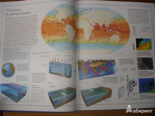 Иллюстрация 31 из 32 для Океаны. Иллюстрированный атлас - Хатчинсон, Макмиллан, Лутьехармс | Лабиринт - книги. Источник: Осьминожка