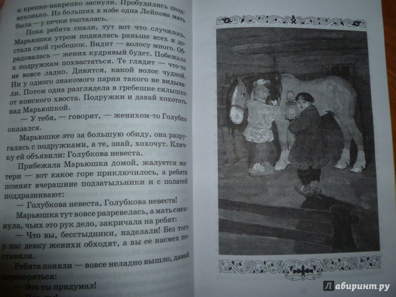 Иллюстрация 25 из 25 для Малахитовая шкатулка - Павел Бажов | Лабиринт - книги. Источник: Sotan