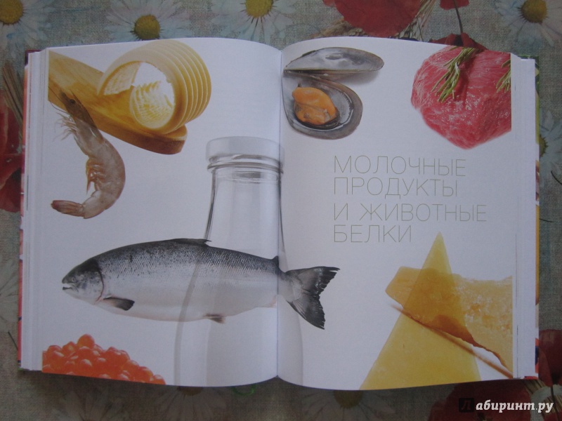 Иллюстрация 26 из 33 для 100 самых полезных продуктов - Александра Кардаш | Лабиринт - книги. Источник: Александрова  Анна Леонидовна
