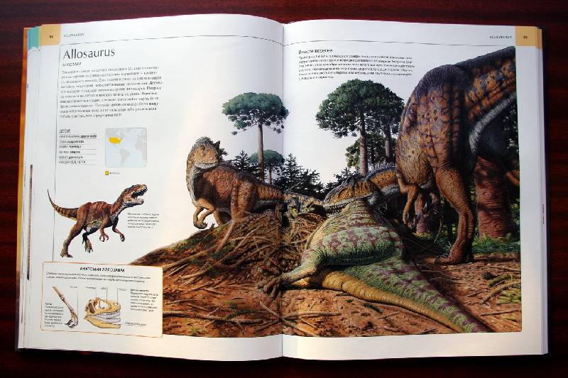 Иллюстрация 98 из 109 для Динозавры. Иллюстрированный атлас - Майкл Бретт-Шуман | Лабиринт - книги. Источник: Валерия
