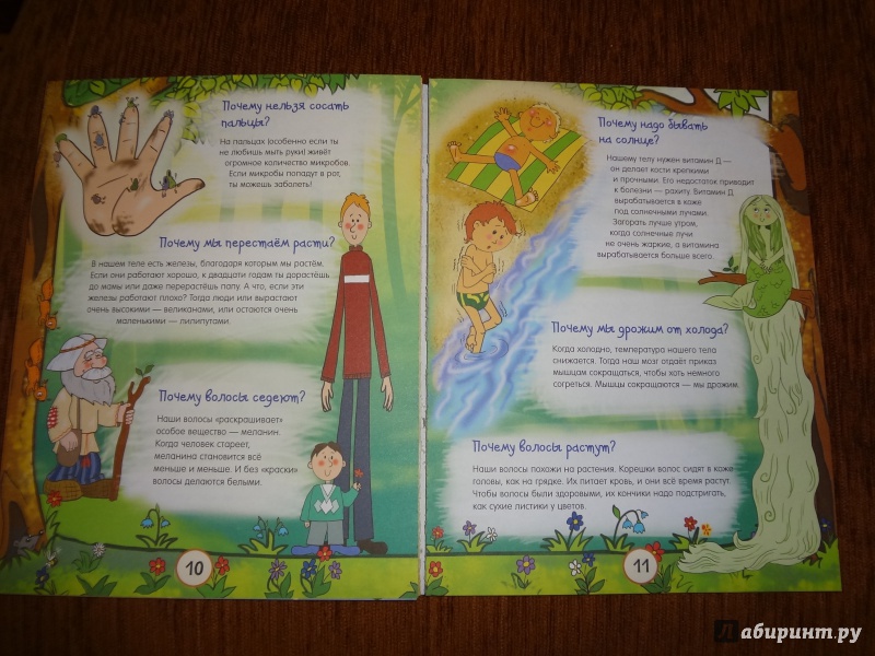 Иллюстрация 78 из 136 для Почему трава зелёная и еще 100 детских почему - Татьяна Яценко | Лабиринт - книги. Источник: Дегтерева  Светлана