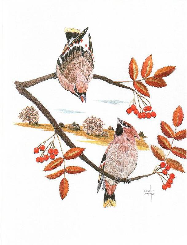 Иллюстрация 23 из 33 для Птицы. Практическое руководство - Хелен Стивенс | Лабиринт - книги. Источник: Юта