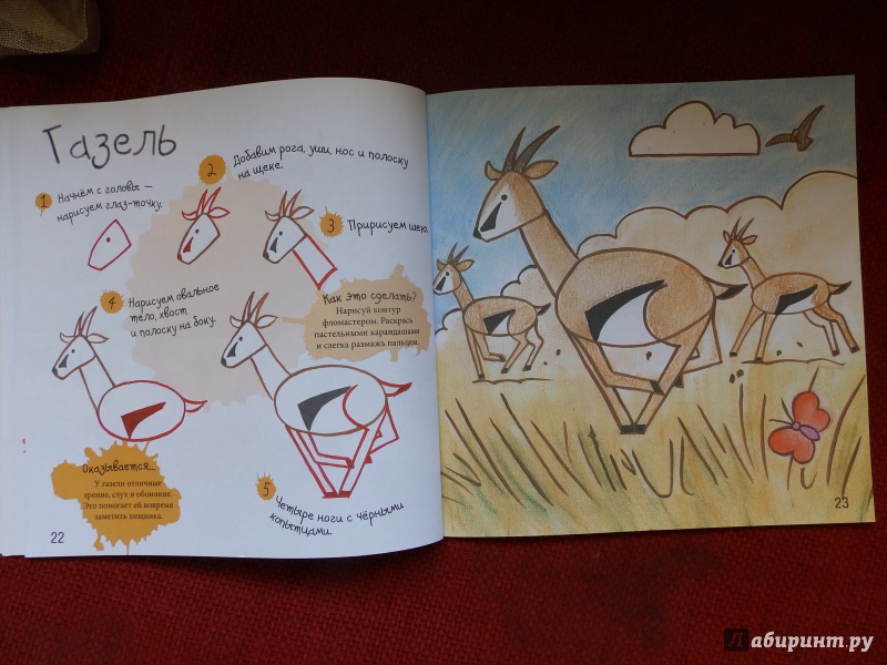 Иллюстрация 13 из 36 для Как нарисовать зебру и других животных - Марк Берджин | Лабиринт - книги. Источник: taxik
