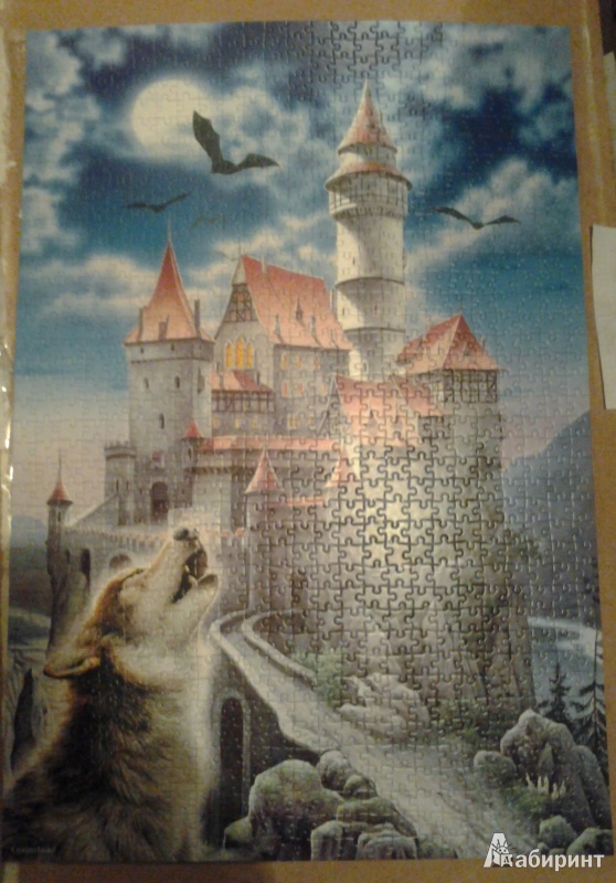 Иллюстрация 5 из 14 для Puzzle-1000 "Замок и волк" (С-100699) | Лабиринт - игрушки. Источник: Лана