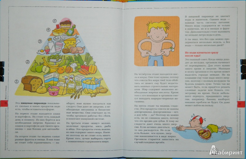 Иллюстрация 8 из 12 для Маленький повар + Маленький садовник - Флото-Штаммен, Кюппер, Вагнер | Лабиринт - книги. Источник: JuNi