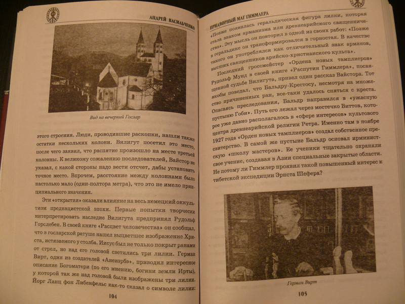 Иллюстрация 23 из 26 для Придворный маг Гиммлера - Андрей Васильченко | Лабиринт - книги. Источник: Caelus