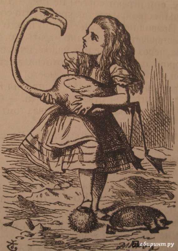 Иллюстрация 19 из 19 для Алиса в Стране чудес - Льюис Кэрролл | Лабиринт - книги. Источник: NiNon