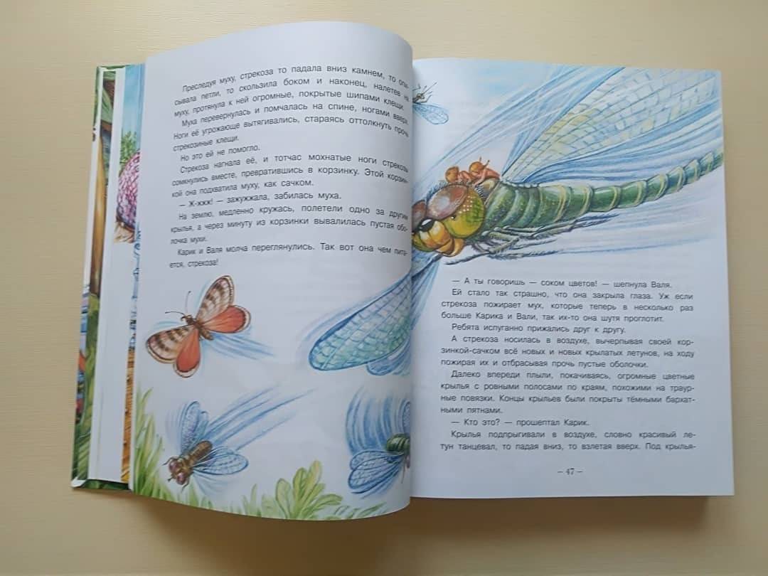 Иллюстрация 54 из 95 для Необыкновенные приключения Карика и Вали - Ян Ларри | Лабиринт - книги. Источник: Отзывы читателей
