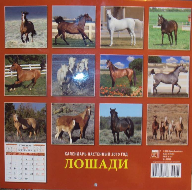 Иллюстрация 15 из 15 для Календарь. 2010 год. Лошади (70903) | Лабиринт - сувениры. Источник: KOK