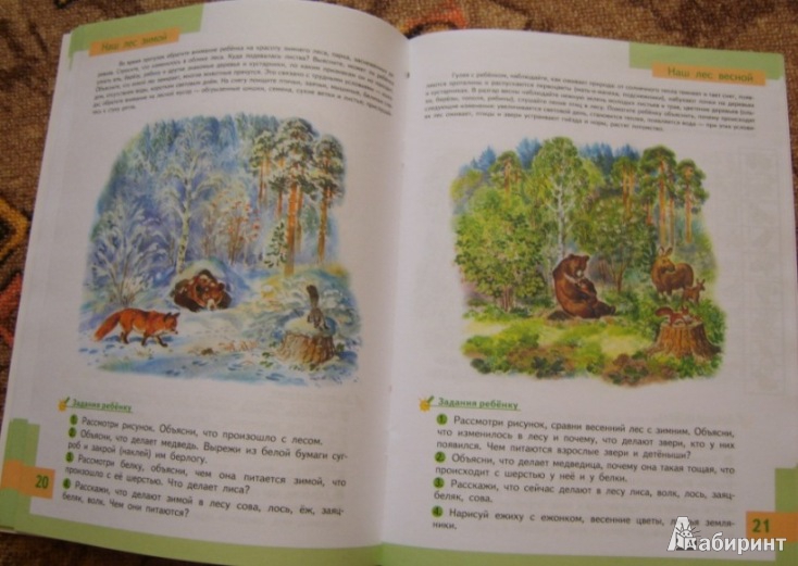 Иллюстрация 14 из 22 для Познаем природу - готовимся к школе: экологическая тетрадь для детей шестилетнего возраста - Николаева, Волкова | Лабиринт - книги. Источник: Tatka