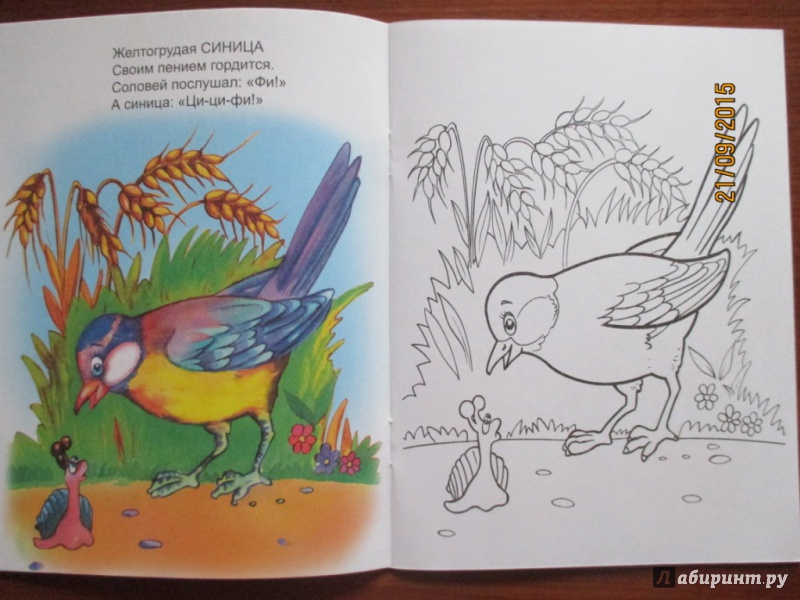 Иллюстрация 24 из 26 для Птичьи голоса - Юрий Чичев | Лабиринт - книги. Источник: Марина Епифанцева