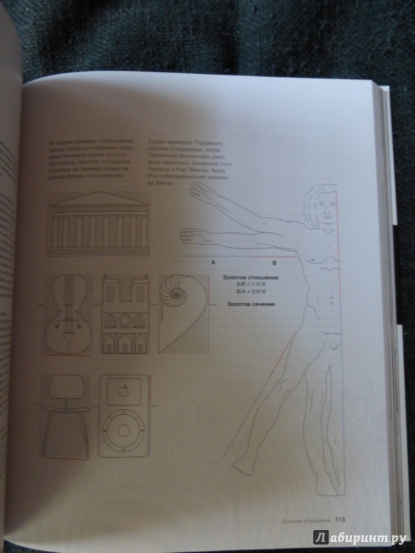 Иллюстрация 17 из 36 для Универсальные принципы дизайна - Лидвелл, Холден, Батлер | Лабиринт - книги. Источник: manuna007