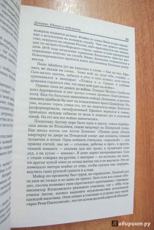 Иллюстрация 11 из 32 для Деникин. Единая и неделимая - Сергей Кисин | Лабиринт - книги. Источник: Hitopadesa