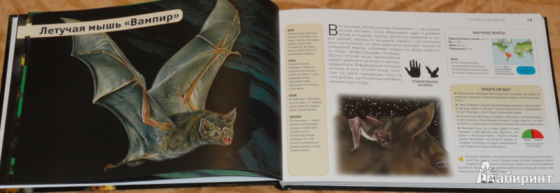 Иллюстрация 4 из 29 для Монстры  в ночи - Лиза Реган | Лабиринт - книги. Источник: Акико