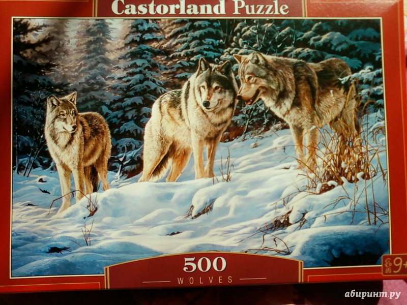 Иллюстрация 2 из 4 для Puzzle-500 "Волки" (B-51793) | Лабиринт - игрушки. Источник: Шадрина  Наталья