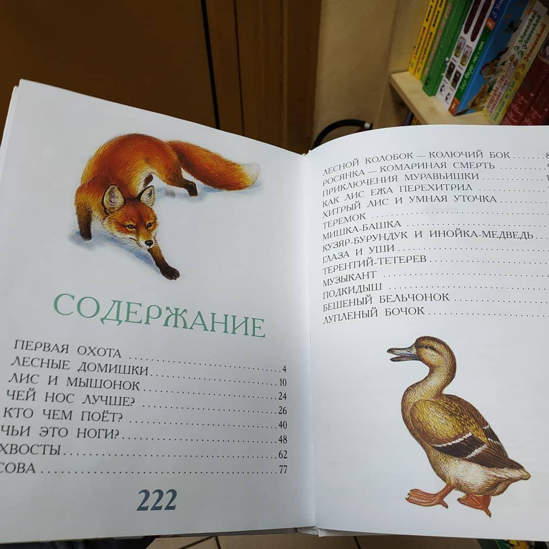 Иллюстрация 22 из 36 для Сказки для детей - Виталий Бианки | Лабиринт - книги. Источник: Отзывы читателей