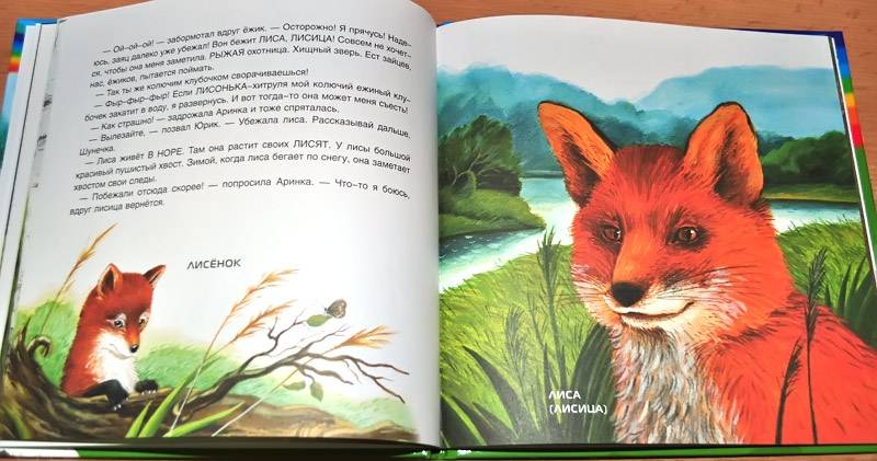 Иллюстрация 12 из 19 для Лесные животные и ежик Шуня - Татьяна Рик | Лабиринт - книги. Источник: Солненые зайцы