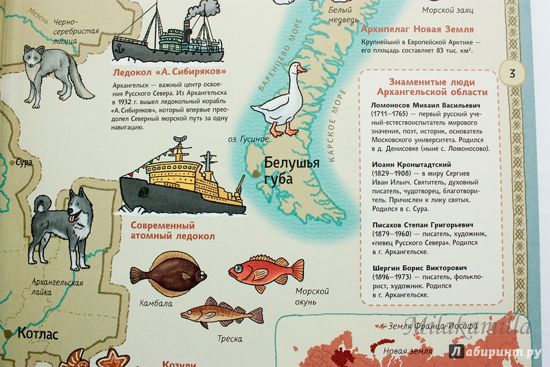 Иллюстрация 118 из 154 для Карты России - Александр Голубев | Лабиринт - книги. Источник: Букландия
