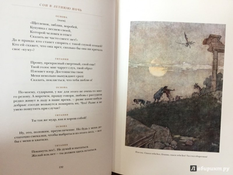 Иллюстрация 39 из 48 для Сон в летнюю ночь. Двенадцатая ночь - Уильям Шекспир | Лабиринт - книги. Источник: pavko