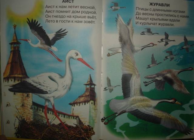 Иллюстрация 8 из 12 для Животный мир России - Владимир Степанов | Лабиринт - книги. Источник: Настёна