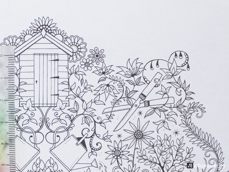Иллюстрация 105 из 149 для Таинственный сад - Джоанна Бэсфорд | Лабиринт - книги. Источник: Кондратьева  Анастасия