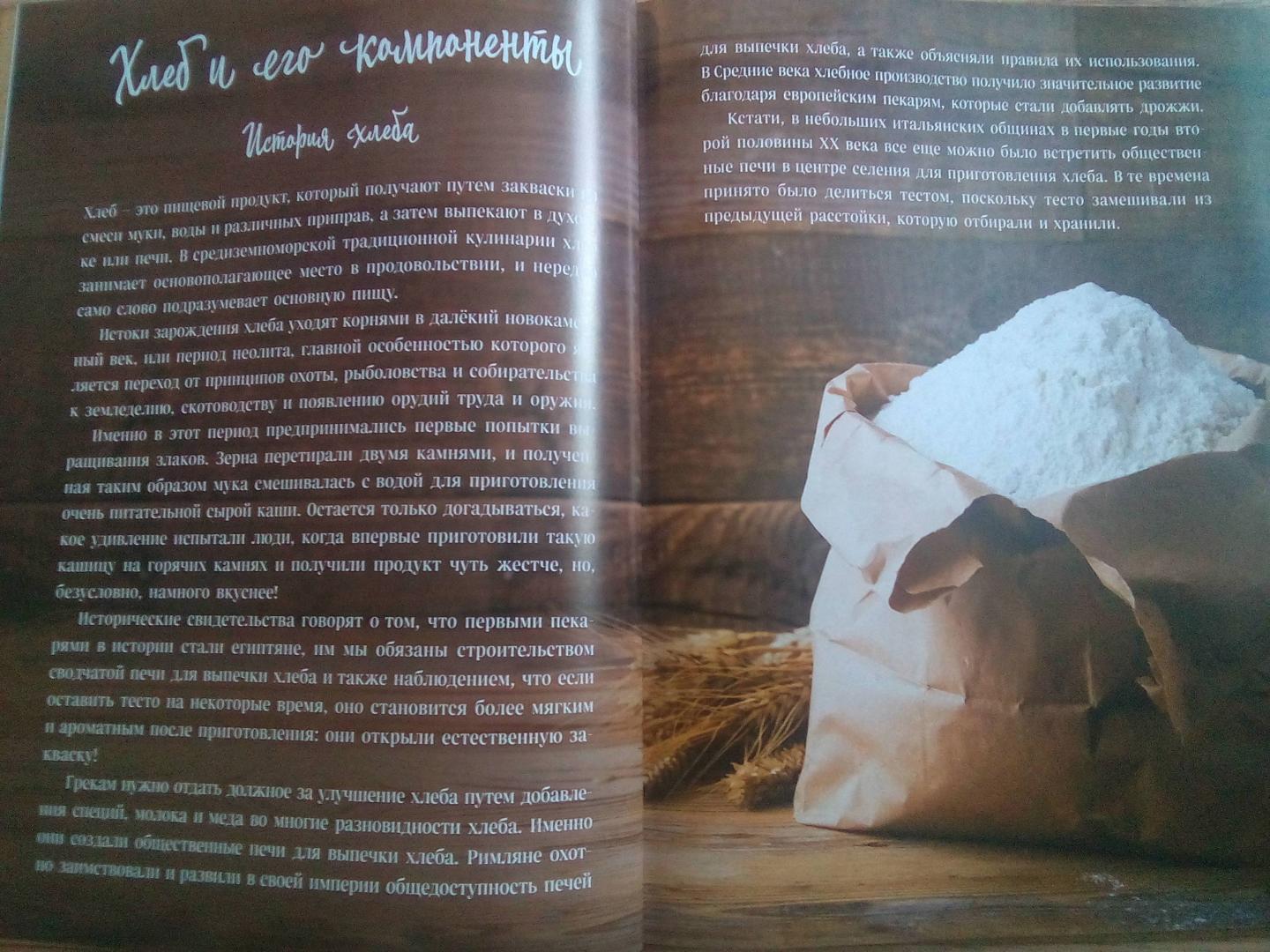 Иллюстрация 17 из 34 для Домашние хлеб, колбаса, сыр своими руками для своей семьи. Pane e salame - Андреа Галли | Лабиринт - книги. Источник: Наделяева  Ирина