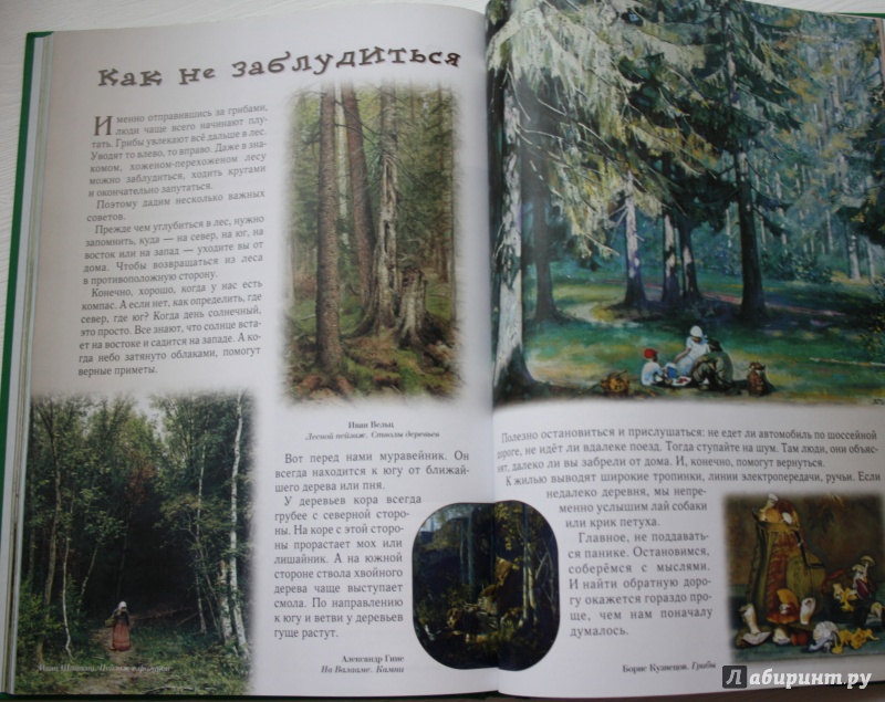 Иллюстрация 21 из 94 для Прогулки по лесу - Сергей Махотин | Лабиринт - книги. Источник: Twinsic