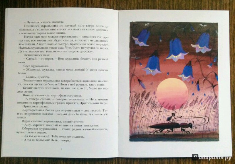 Иллюстрация 53 из 59 для Как муравьишка домой спешил - Виталий Бианки | Лабиринт - книги. Источник: Natalie Leigh