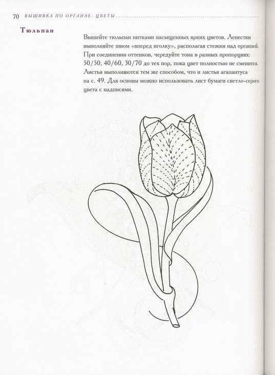 Иллюстрация 37 из 42 для Вышивка по органзе. Цветы - Гари Кларк | Лабиринт - книги. Источник: * Ольга *