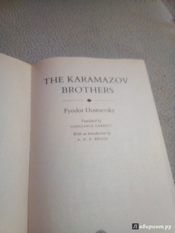 Иллюстрация 13 из 20 для The Karamazov Brothers - Fyodor Dostoevsky | Лабиринт - книги. Источник: razinmax02