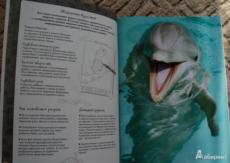 Иллюстрация 2 из 30 для Мир моря - Эмма Сэл | Лабиринт - книги. Источник: Анна-радуга