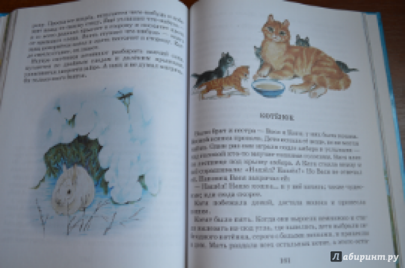 Иллюстрация 2 из 7 для Сказки, стихи, рассказы о животных | Лабиринт - книги. Источник: тася