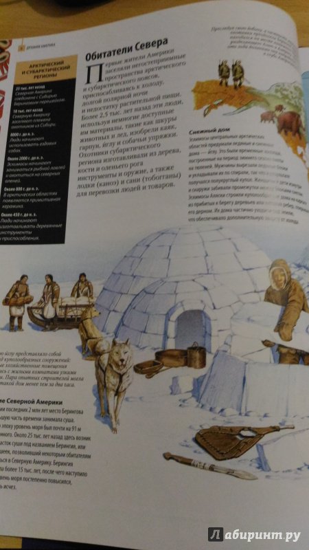 Иллюстрация 13 из 24 для Древняя Америка. От Аляски до мыса Горн - Шон Конноли | Лабиринт - книги. Источник: Wiseman