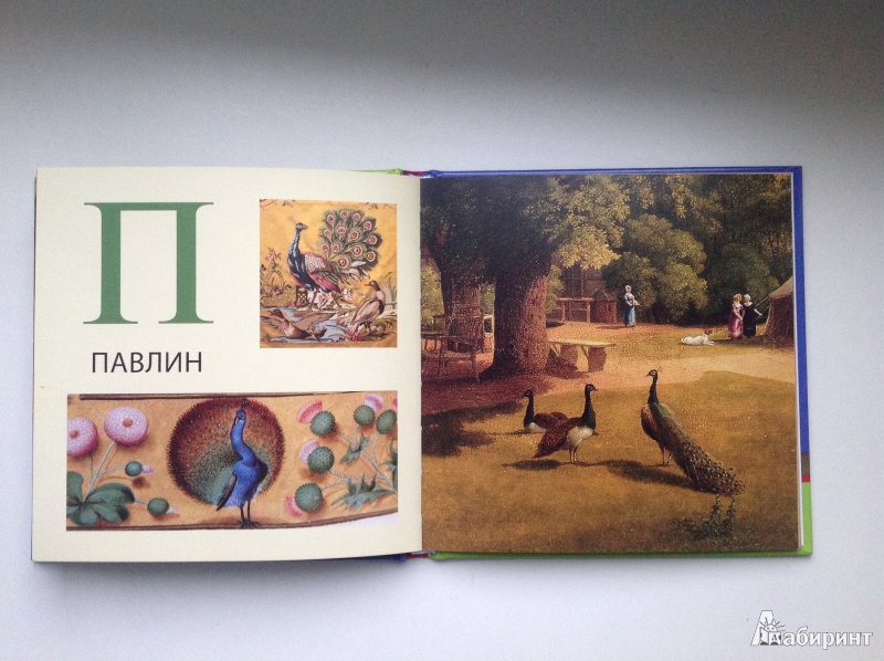 Иллюстрация 13 из 31 для Азбука. Животный мир. Из собрания Государственного Эрмитажа | Лабиринт - книги. Источник: La Neonato