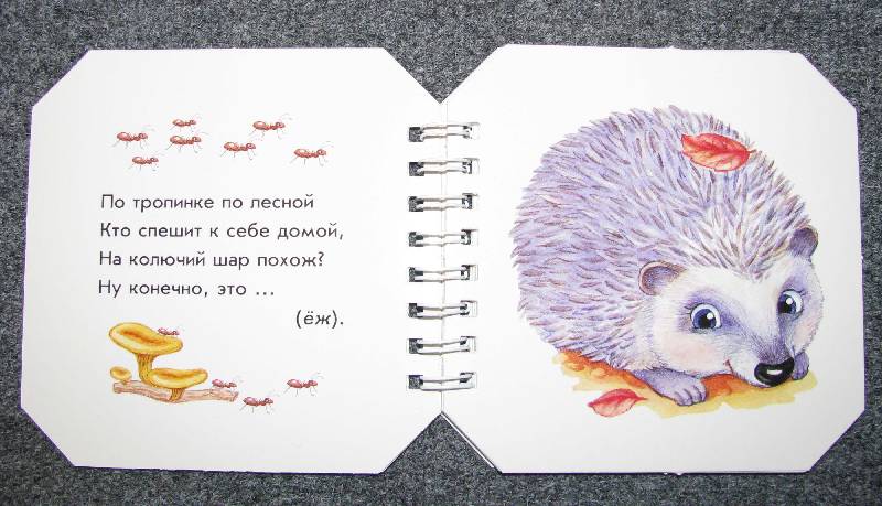 Иллюстрация 4 из 13 для Кто в лесу живет - А. Геращенко | Лабиринт - книги. Источник: Апельсинка