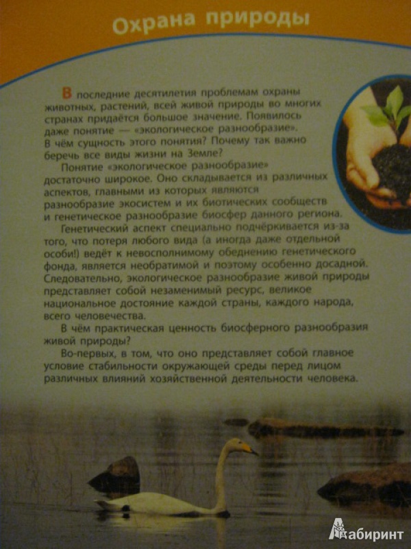 Иллюстрация 2 из 11 для Охрана природы - Дроздов, Макеев | Лабиринт - книги. Источник: Евгения39