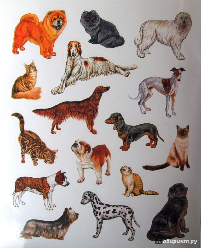 Иллюстрация 17 из 26 для Большая книга развивающих наклеек. Кошки и собаки | Лабиринт - книги. Источник: Соловьев  Владимир